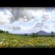 The Lord of the Rings Online Trailer / Rohan Landscape