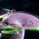 Star Trek Online: Face the Test of the Kobayashi Maru!