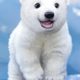 Free Polar Jumping Bear 3D [ENDED]