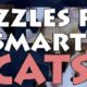Free Puzzles for smart: Cats