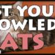 Free Test your knowledge: Cats [ENDED]