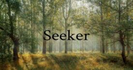 Free Seeker on Steam