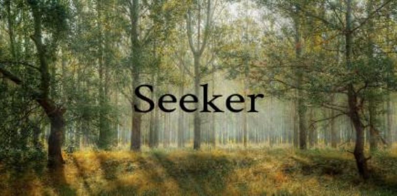 Free Seeker on Steam