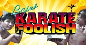 Free Brief Karate Foolish on Steam