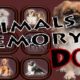 Free Animals Memory: Dogs [ENDED]