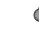 Free While Waiting [ENDED]