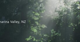 Free Wakamarina Valley, New Zealand [ENDED]