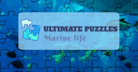Free Ultimate Puzzles Marine Life [ENDED]