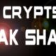 The Crypts of Anak Shaba – VR Steam keys giveaway [ENDED]