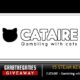 Free CATAIRE – Gambling with cats