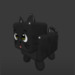 Black+Cat