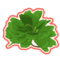 57 Leaf Clover